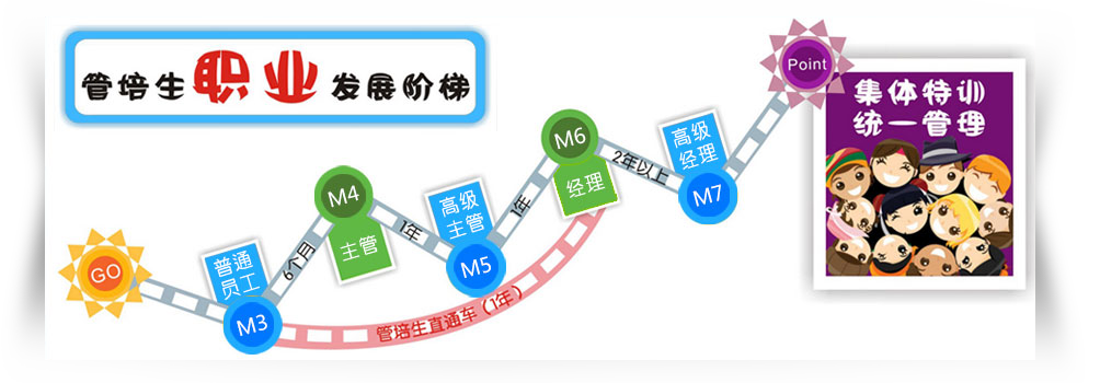 微盘管培生职业发展阶梯